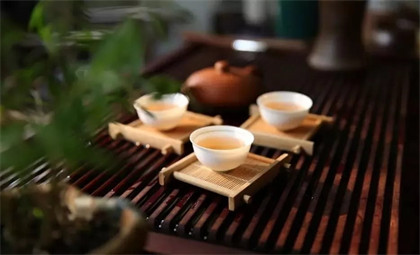 嘉兴普洱茶价格一览表2023年最新